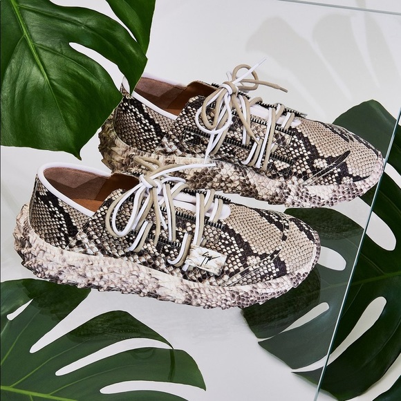 giuseppe zanotti BNIB python textured lowtops - Picture 9 of 14